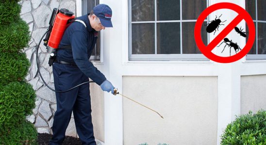 Şemdinli Hamam Böceği İlaçlama böcek ilaçlama ve haşere kontrolü — ilaclama-tr.com